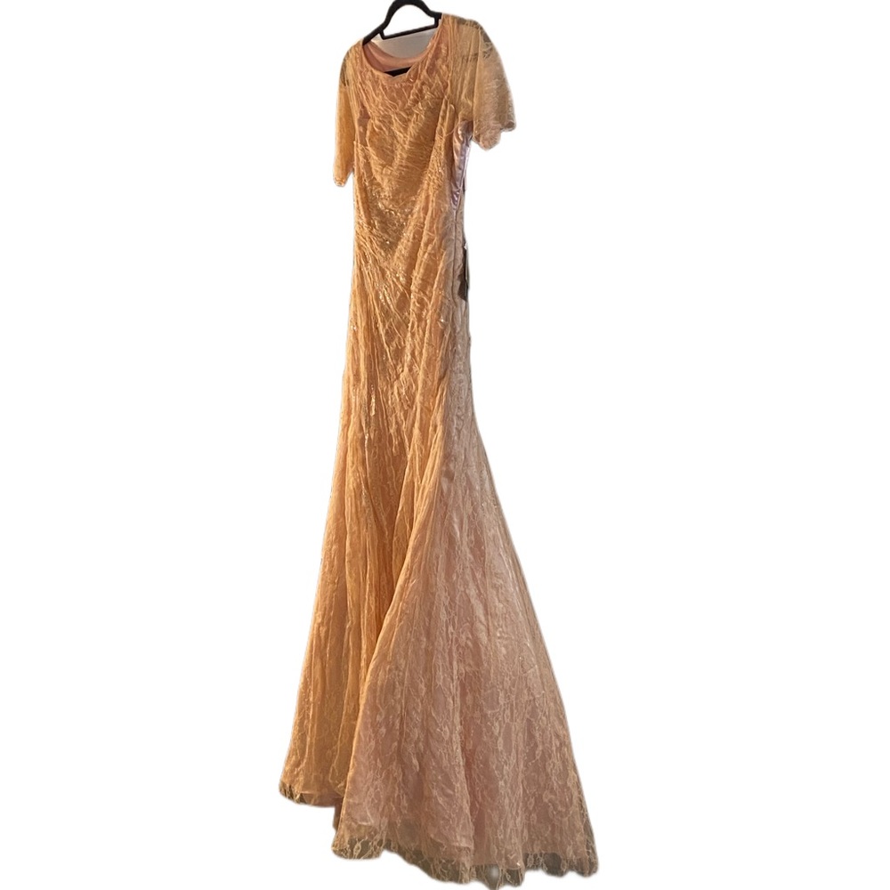New With Tags pink lace and rhinestone Alberto Makali Gown size 6/40/small